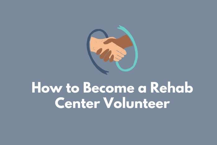 a guide about How to Become a Rehab Center Volunteer